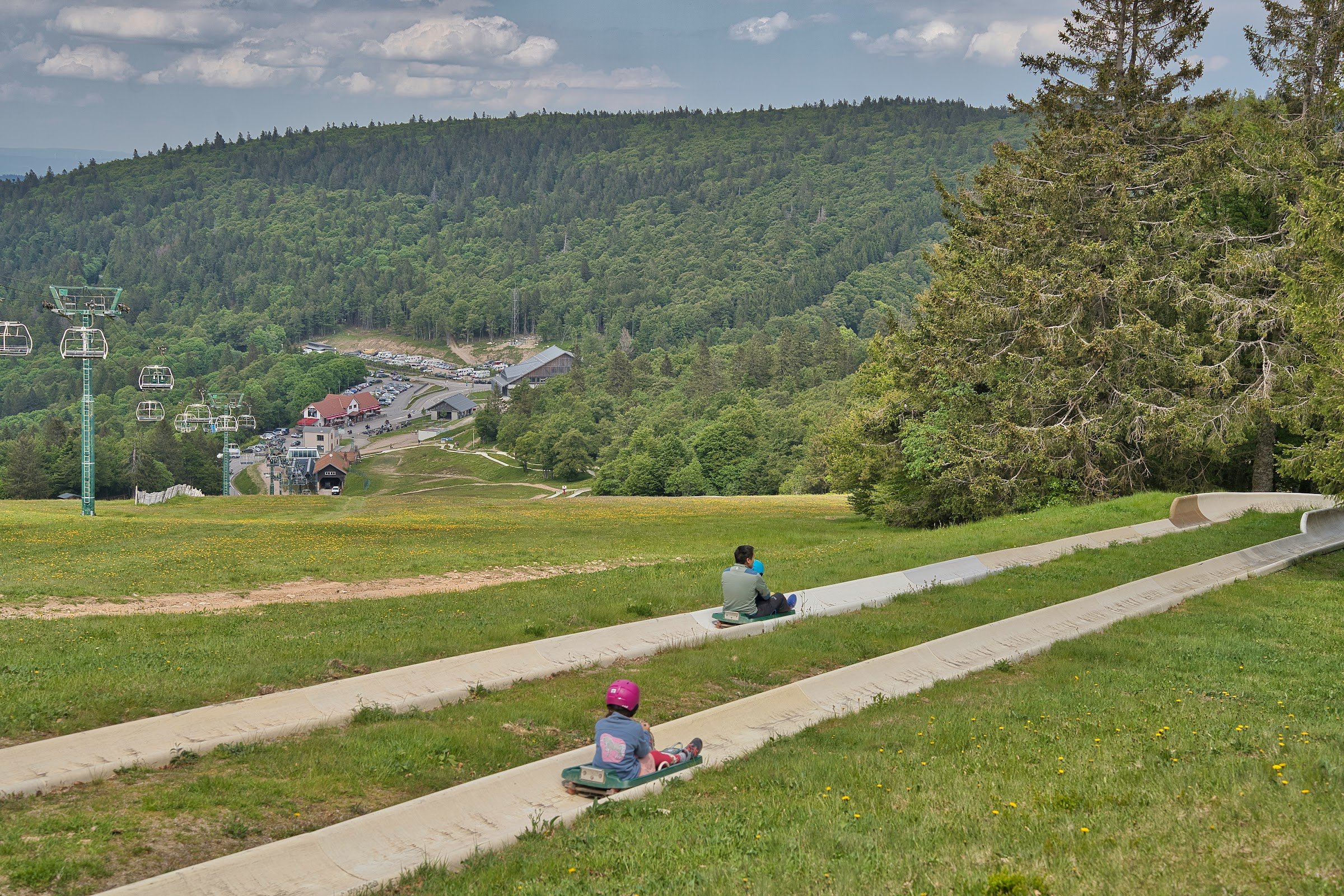 Luge d'été Col de la Schlucht